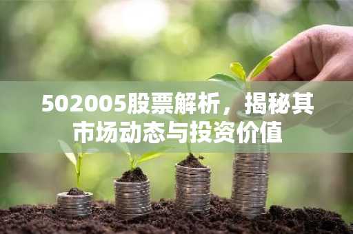 502005股票解析，揭秘其市场动态与投资价值