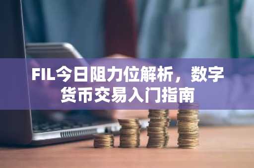 FIL今日阻力位解析，数字货币交易入门指南