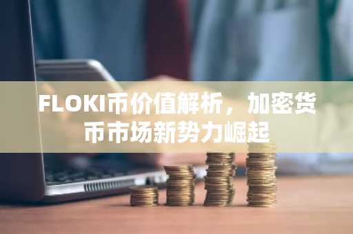 FLOKI币价值解析，加密货币市场新势力崛起