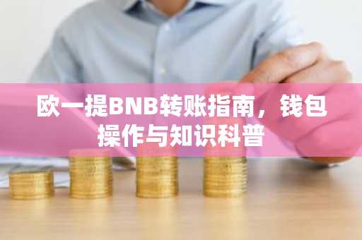 欧一提BNB转账指南，钱包操作与知识科普