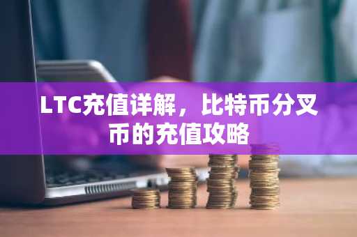 LTC充值详解，比特币分叉币的充值攻略