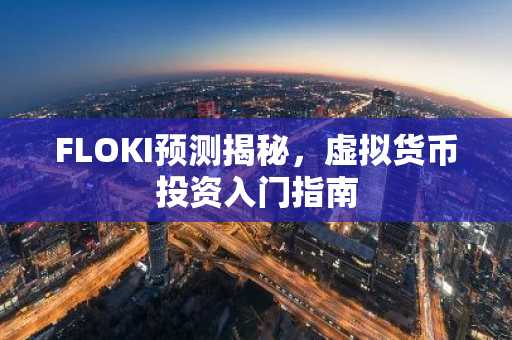 FLOKI预测揭秘，虚拟货币投资入门指南