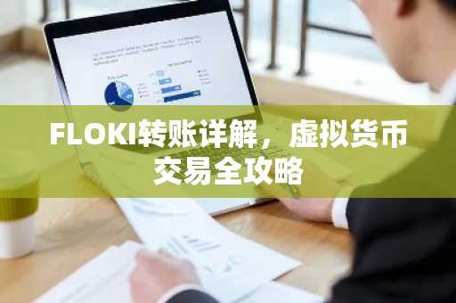 FLOKI转账详解，虚拟货币交易全攻略