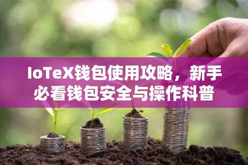 IoTeX钱包使用攻略，新手必看钱包安全与操作科普