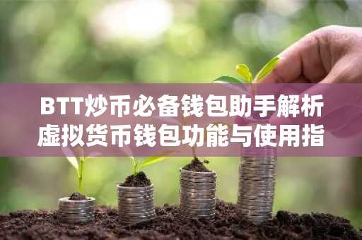 BTT炒币必备钱包助手解析虚拟货币钱包功能与使用指南