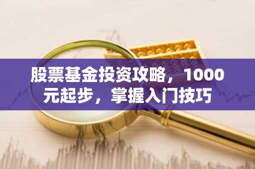 股票基金投资攻略，1000元起步，掌握入门技巧