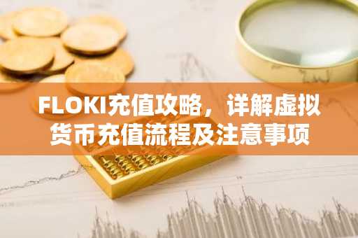 FLOKI充值攻略，详解虚拟货币充值流程及注意事项