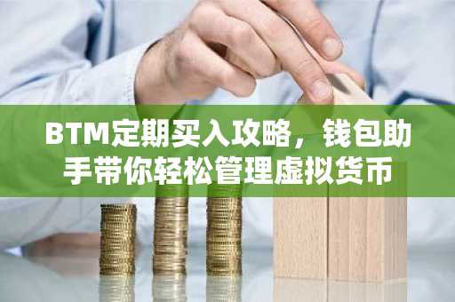 BTM定期买入攻略，钱包助手带你轻松管理虚拟货币