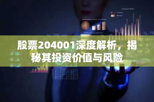 股票204001深度解析，揭秘其投资价值与风险