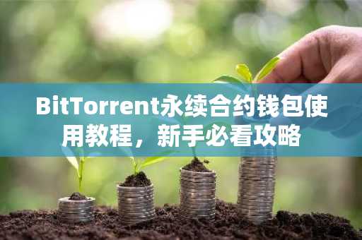 BitTorrent永续合约钱包使用教程，新手必看攻略