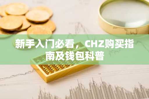 新手入门必看，CHZ购买指南及钱包科普