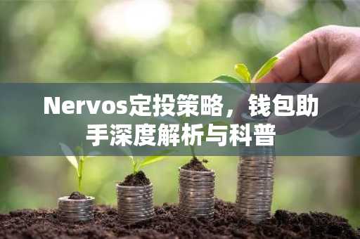 Nervos定投策略，钱包助手深度解析与科普