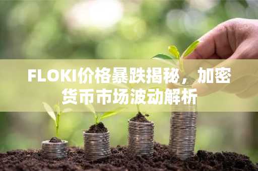 FLOKI价格暴跌揭秘，加密货币市场波动解析