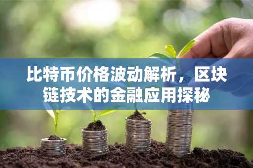比特币价格波动解析，区块链技术的金融应用探秘