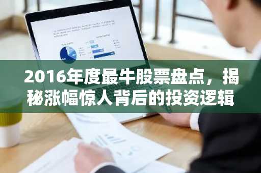 2016年度最牛股票盘点，揭秘涨幅惊人背后的投资逻辑