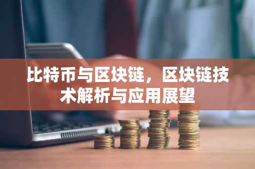 比特币与区块链，区块链技术解析与应用展望