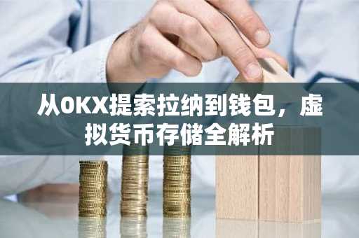 从0KX提索拉纳到钱包，虚拟货币存储全解析