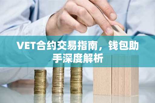 VET合约交易指南，钱包助手深度解析