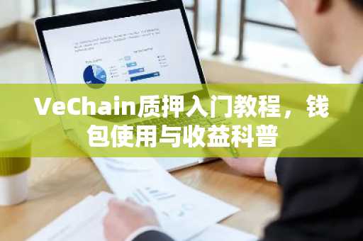 VeChain质押入门教程，钱包使用与收益科普