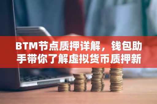 BTM节点质押详解，钱包助手带你了解虚拟货币质押新玩法