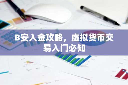 B安入金攻略，虚拟货币交易入门必知
