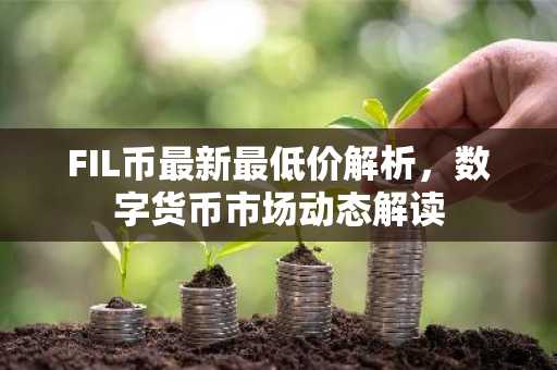 FIL币最新最低价解析，数字货币市场动态解读
