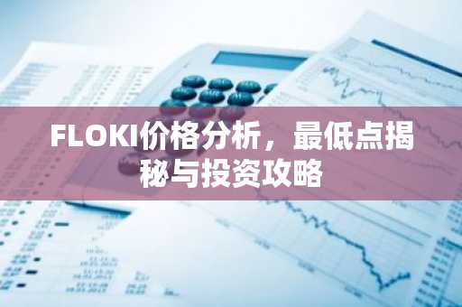 FLOKI价格分析，最低点揭秘与投资攻略