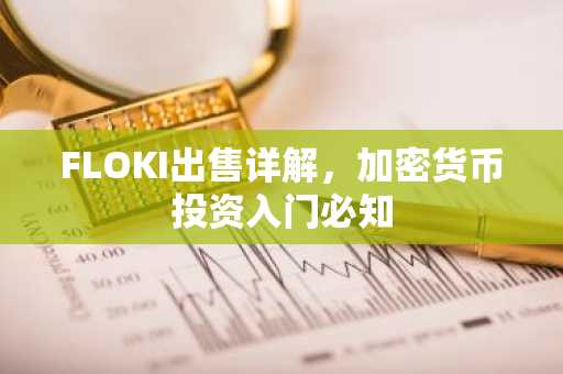 FLOKI出售详解，加密货币投资入门必知