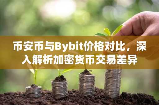 币安币与Bybit价格对比，深入解析加密货币交易差异