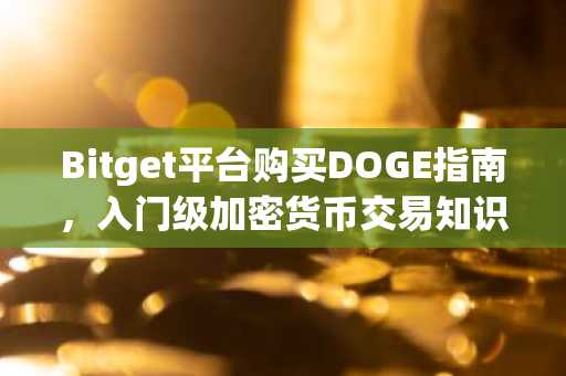 Bitget平台购买DOGE指南，入门级加密货币交易知识