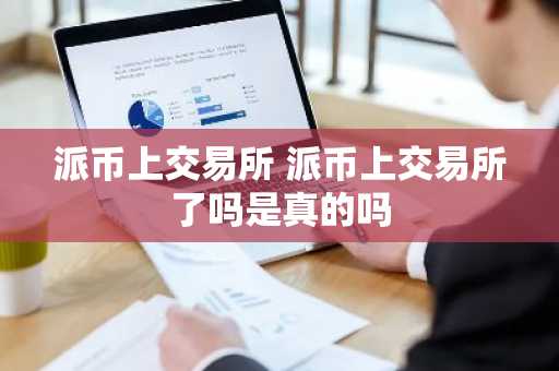 派币上交易所 派币上交易所了吗是真的吗