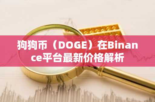 狗狗币（DOGE）在Binance平台最新价格解析