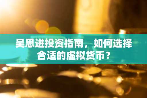 吴思进投资指南，如何选择合适的虚拟货币？