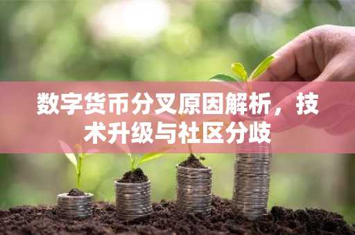 数字货币分叉原因解析，技术升级与社区分歧