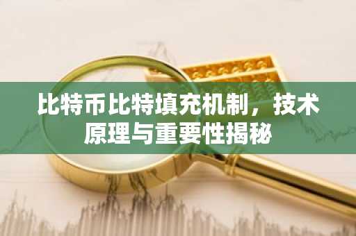 比特币比特填充机制，技术原理与重要性揭秘