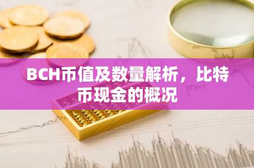 BCH币值及数量解析，比特币现金的概况