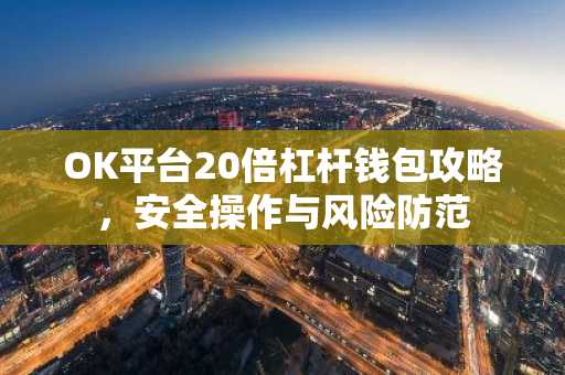 OK平台20倍杠杆钱包攻略，安全操作与风险防范