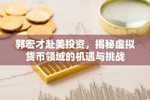 郭宏才赴美投资，揭秘虚拟货币领域的机遇与挑战
