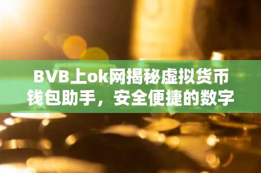 BVB上ok网揭秘虚拟货币钱包助手，安全便捷的数字资产管理利器