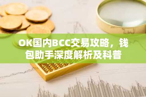 OK国内BCC交易攻略，钱包助手深度解析及科普