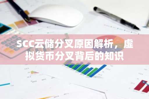 SCC云储分叉原因解析，虚拟货币分叉背后的知识