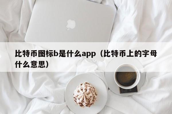 比特币图标b是什么app（比特币上的字母什么意思）