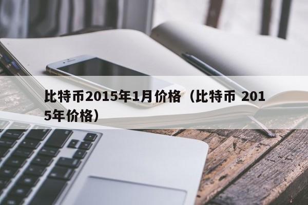 比特币2015年1月价格（比特币 2015年价格）