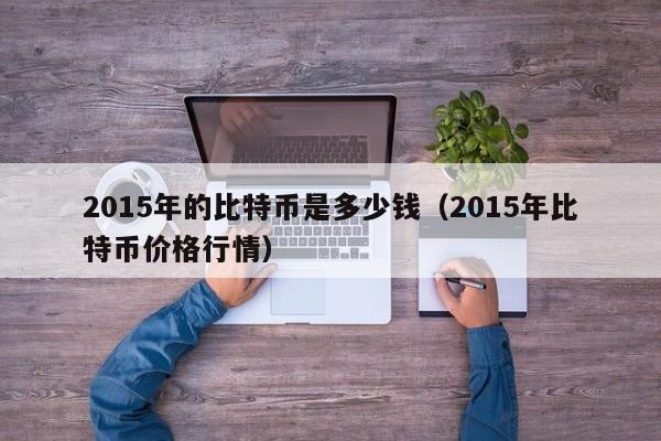 2015年的比特币是多少钱（2015年比特币价格行情）