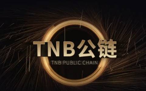 国内数字货币平台_加密货币有哪些平台