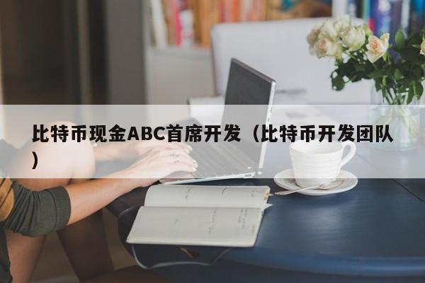比特币现金ABC首席开发（比特币开发团队）