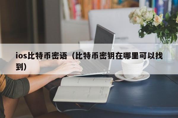 ios比特币密语（比特币密钥在哪里可以找到）