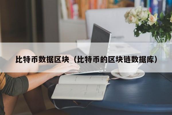 比特币数据区块（比特币的区块链数据库）