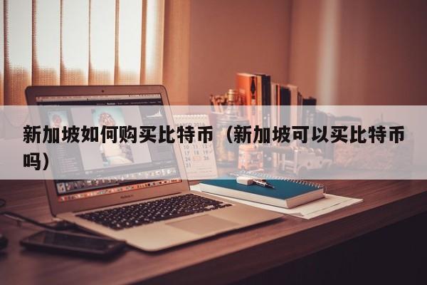新加坡如何购买比特币（新加坡可以买比特币吗）
