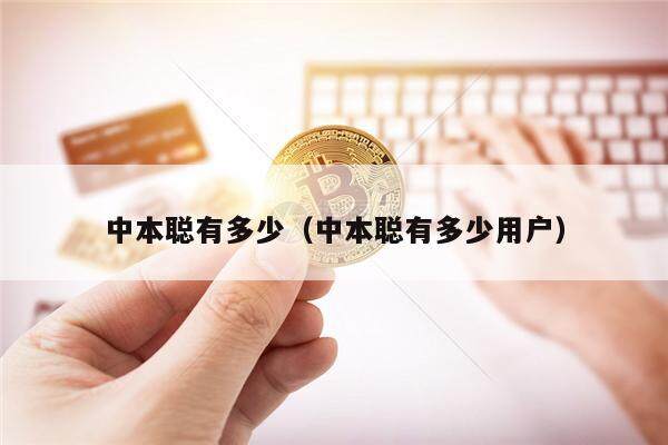 中本聪有多少（中本聪有多少用户）